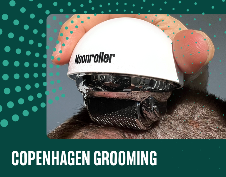 Copenhagen Grooming