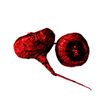 Maca peruánská (Lepidium meyenii)