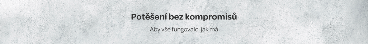 Potěšení