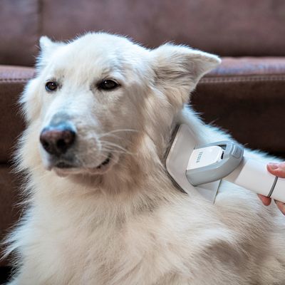 Tesla PetCare Station TQ500 Pro - sada pro péči o srst domácích mazlíčků