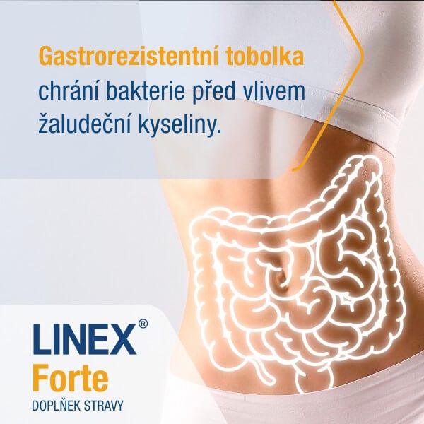 Linex Forte 28 tobolek