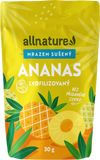 Allnature Ananas sušený mrazem kousky 30 g