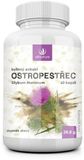 Allnature Ostropestřec bylinný extrakt 60 kapslí