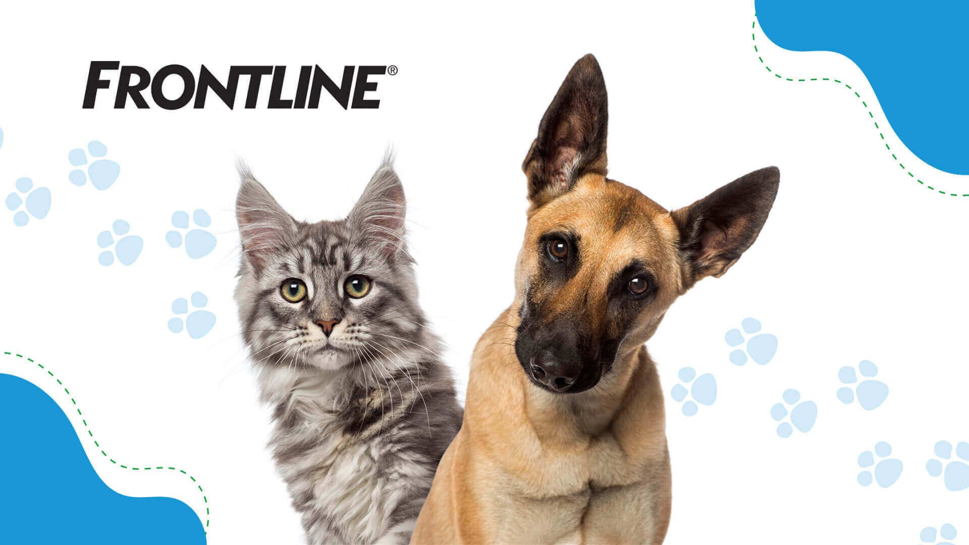 Frontline – zatočte s parazity!