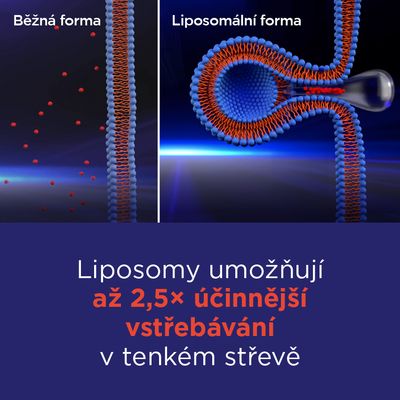 GS Vitamin Lipo C 500mg se šípky 100 kapslí