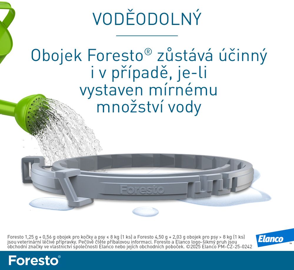 Foresto Obojek pro kočky a malé psy do 8 kg 38 cm