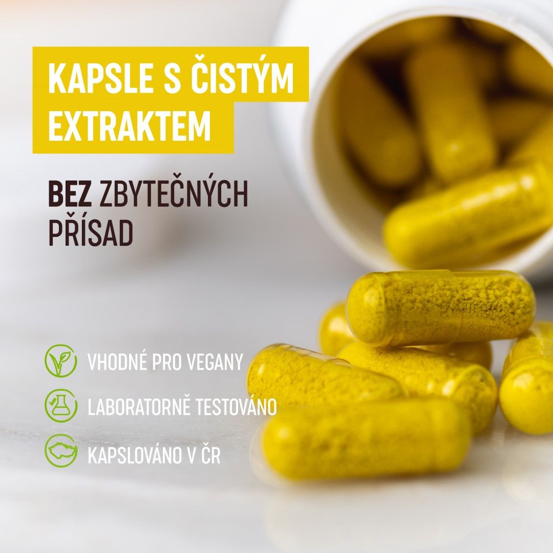 Organis Berberin 30 kapslí