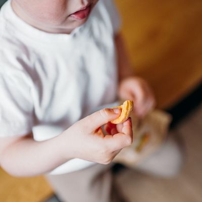 Natu Lyofilizované meruňky 20 g