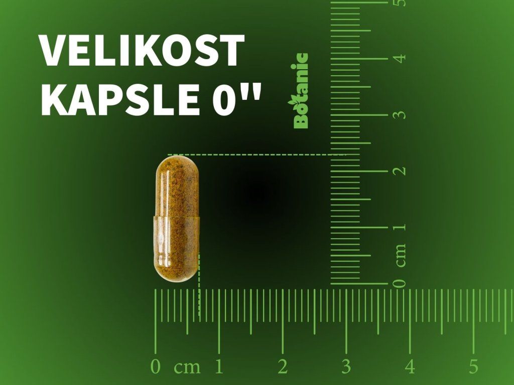 Botanic Shilajit - 80 % kyseliny fulvové 30 kapslí