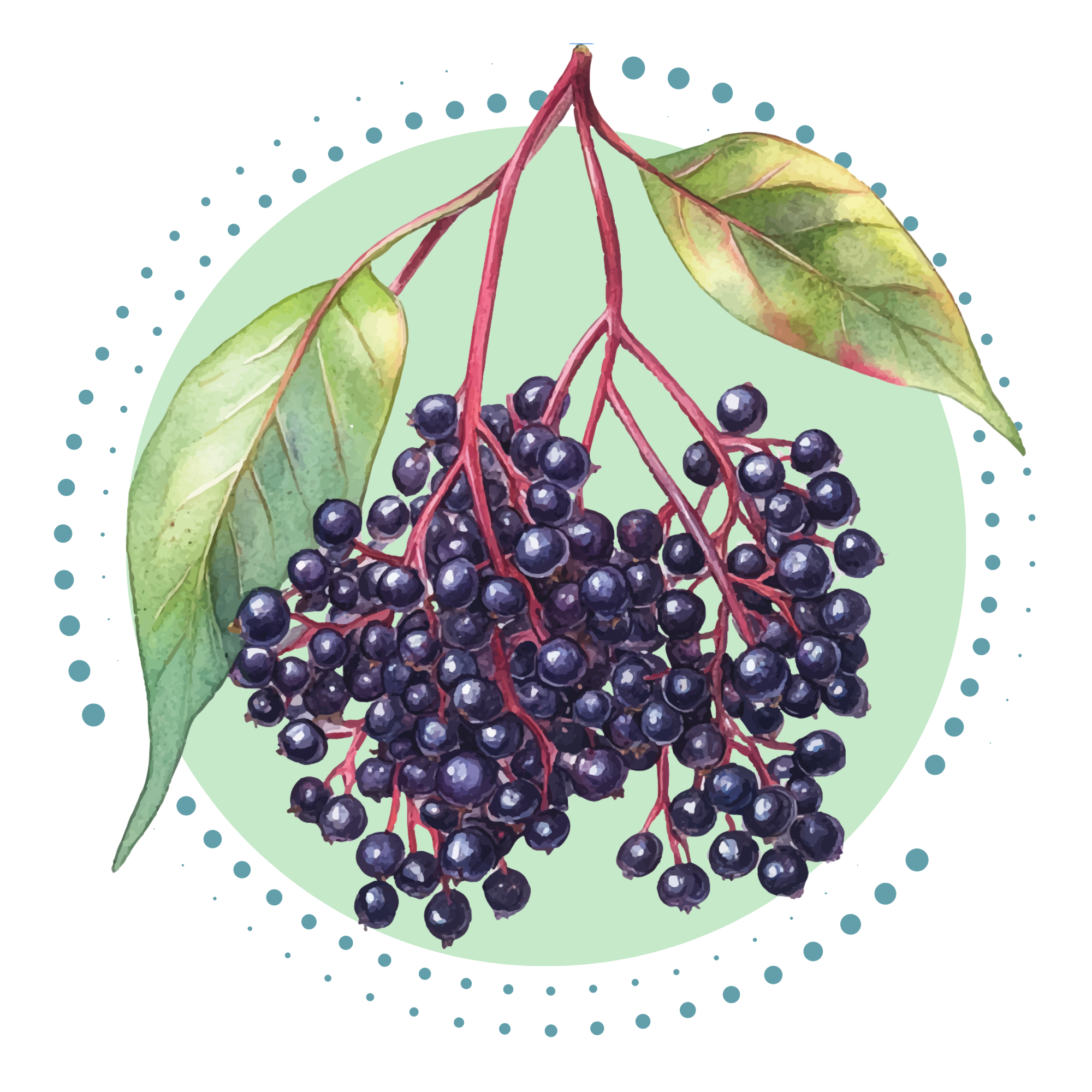 bezinka