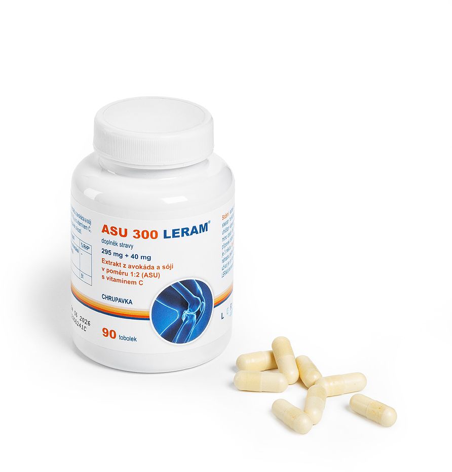 Leram ASU 300 90 tobolek