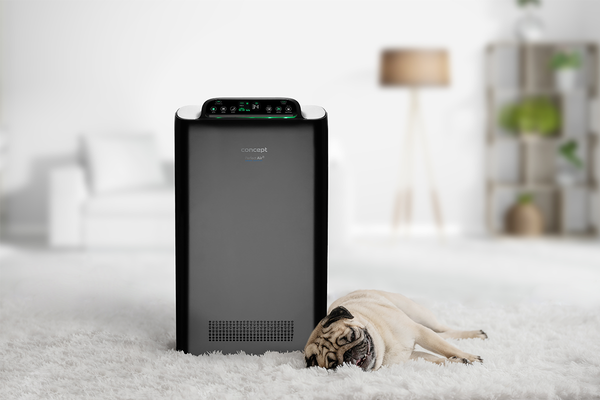 Concept Čistička vzduchu Perfect Air Smart CA2000 černá