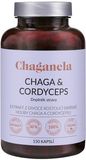 Chaganela Extrakt čagy s cordycepsem 150 kapslí