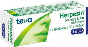 Herpesin 5% krém dermální krém 2 g