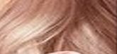 L'Oréal Paris Barva na vlasy Récital Préférence Odstín: 8.23 Shimmering Rose