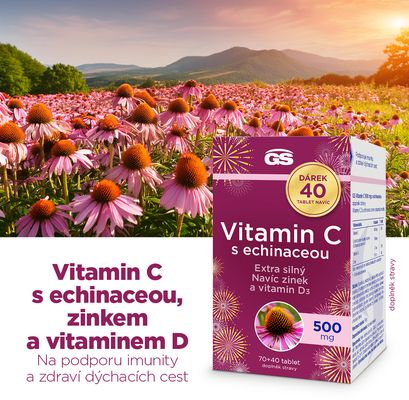 GS Vitamin C 500 mg s echinaceou 110 tablet