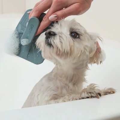 PetiGIO Peti-to-Care silikonový kartáček na péči o domácí mazlíčky