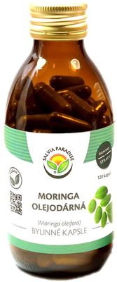 Salvia Paradise Moringa olejodárná 120 kapslí