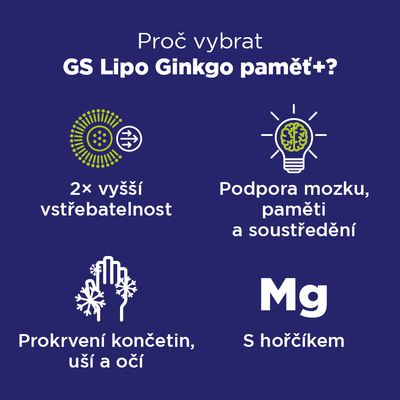 GS Lipo Ginkgo paměť+ 60 mg 60 tablet