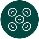 ikona