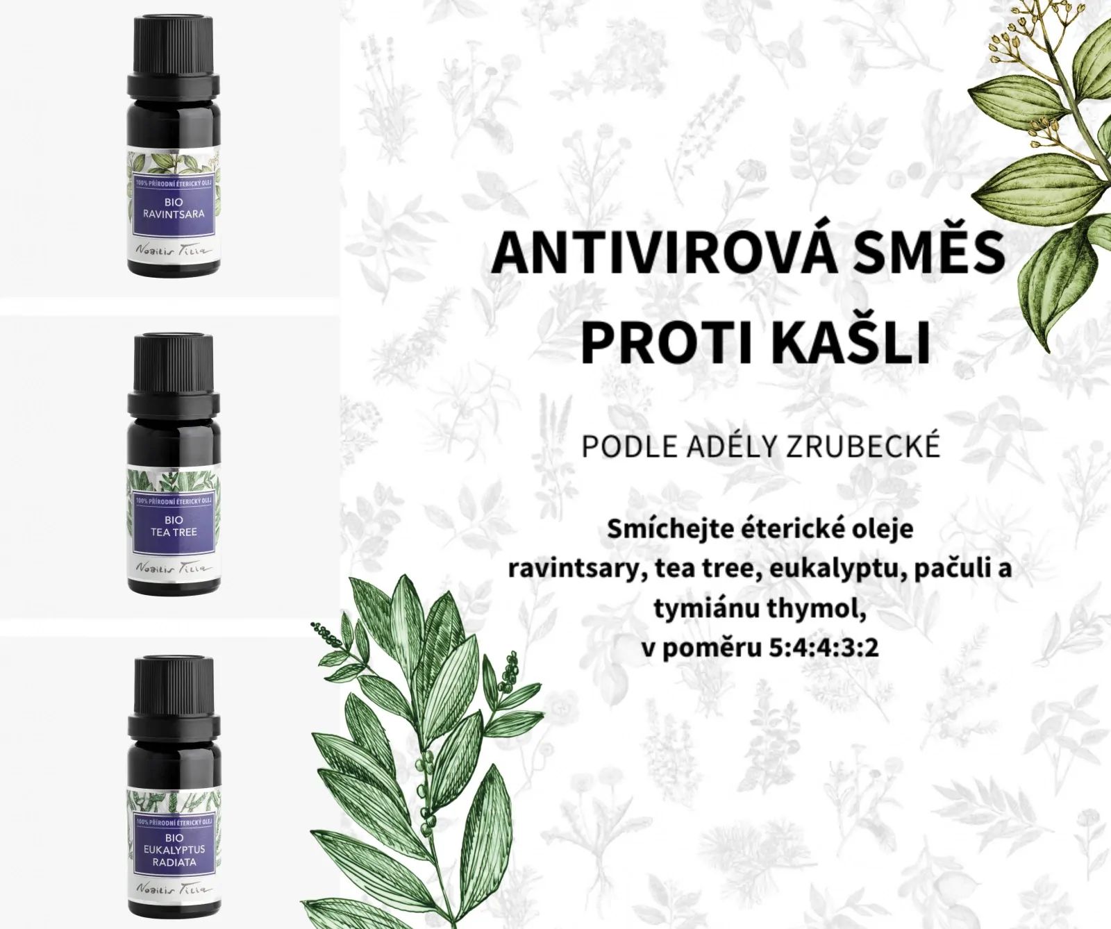 Nobilis Tilia Éterický olej bio Tea tree 5 ml
