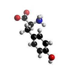tyrosine