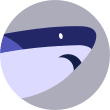 Vyčerpaný žralok