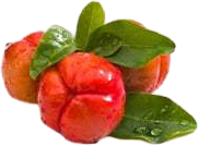 MycoMedica Acerola 90 kapslí