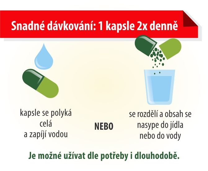 Terezia, Hliva ustricna, čaga, přírodní antioxidant