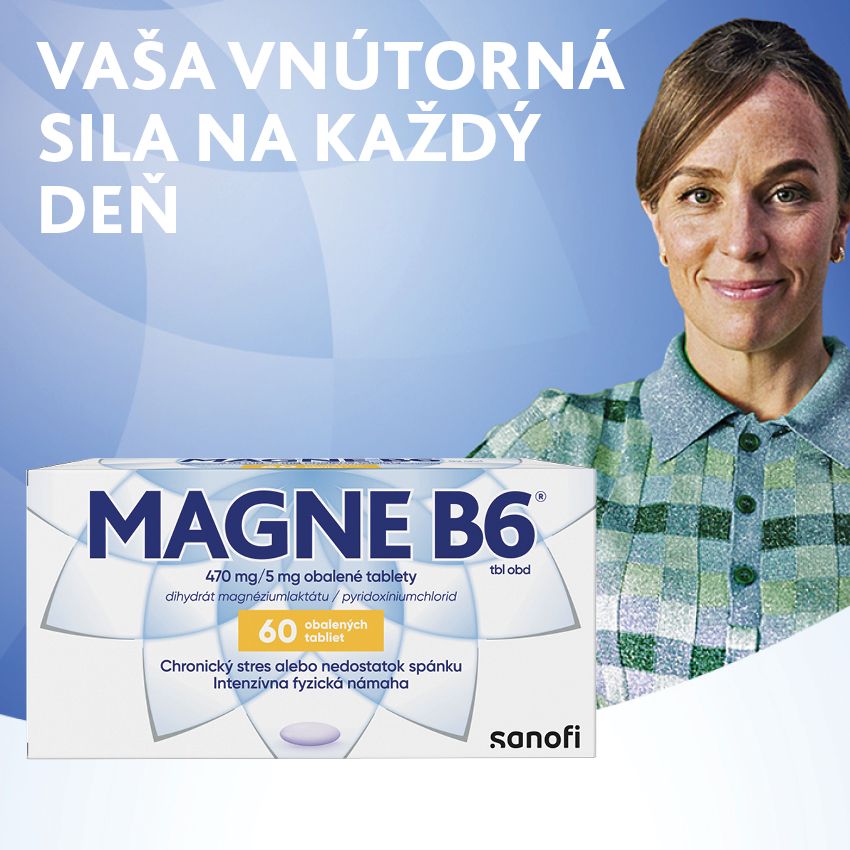 Magne B6