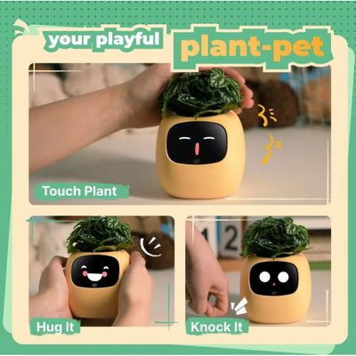 Plantosio Ivy Inteligentní květináč gen 2 růžový