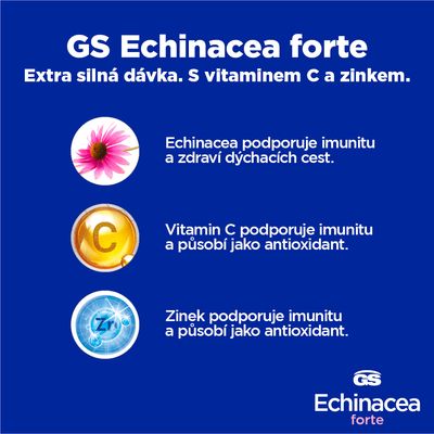 GS Echinacea Forte 600mg 90 tablet