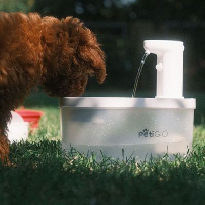 PetiGIO Peti-to-Eat automatická fontána pro domácí mazlíčky plast