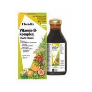 Salus Floradix Vitamin-B-komplex 250 ml
