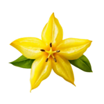 Ylang ylang