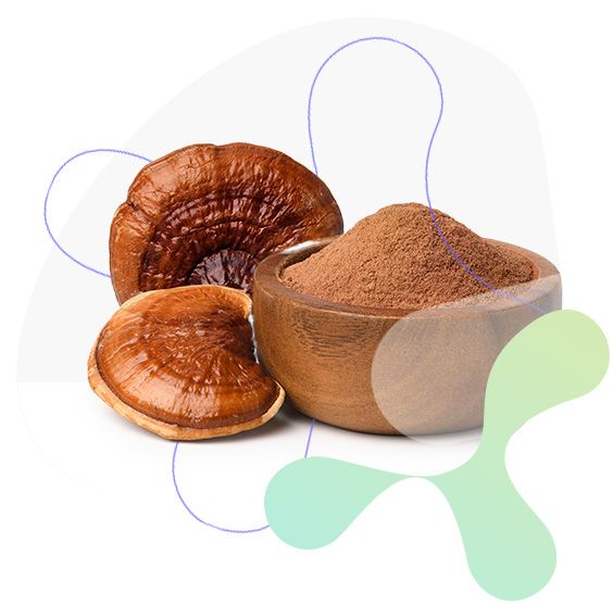 Reishi, imunitný systém, obranyschopnosť organizmu