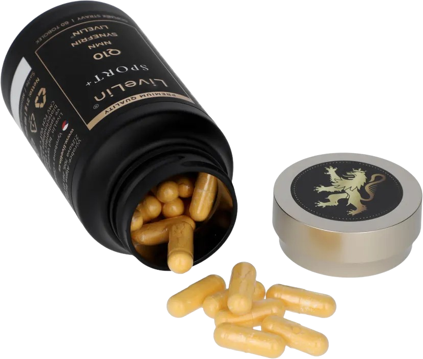 LiveLin SPORT+ 60 tobolek