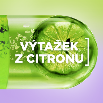 Garnier Fructis Antidandruff Citrus šampon pro mastné vlasy s lupy 250 ml