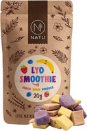 Natu Lyo smoothie mix 20 g