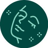 ikona