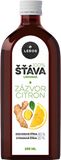 Leros 100% šťáva zázvor a citron 250 ml