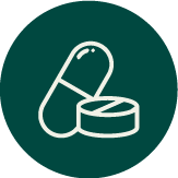 ikona