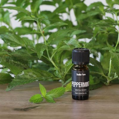 Stadler Form Peppermint 10 ml