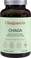 Chaganela Extrakt ze sibiřské čagy 270 kapslí