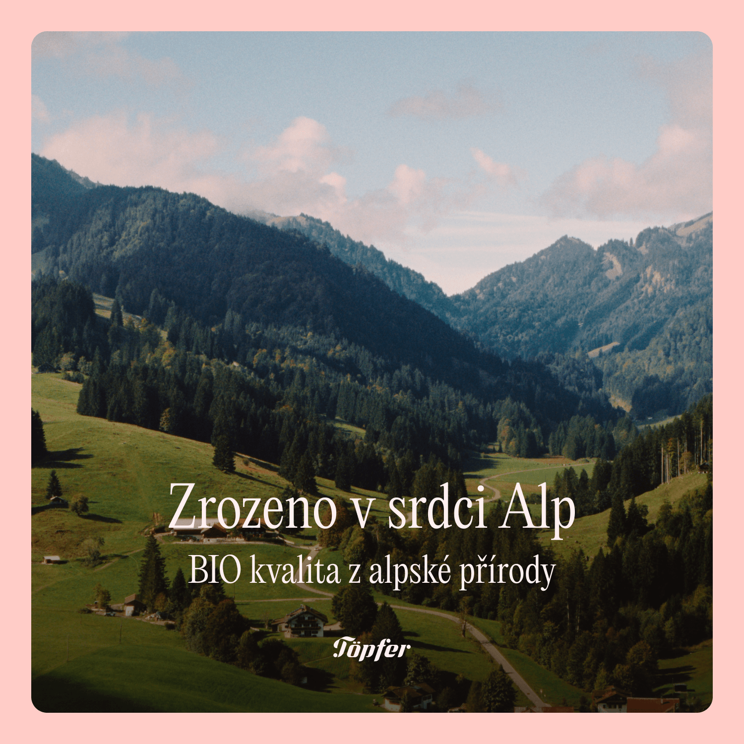 Töpfer BIO 2 pokračovací mléčná kojenecká výživa 600 g