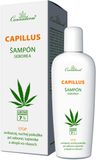 Cannaderm CAPILLUS šampon proti seborea 150 ml