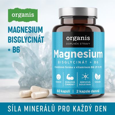 Organis Magnesium bisglycinát + B6 30 kapslí