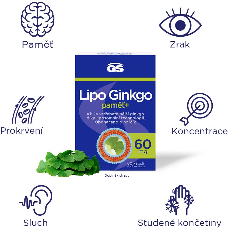 GS Lipo Ginkgo paměť+ 60 mg 60 tablet