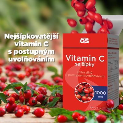 GS Vitamin C1000 + šípky 120 tablet