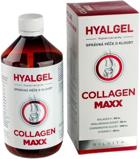 Silvita Hyalgel Collagen MAXX 500 ml